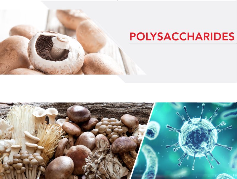 Polysaccharides 多醣体