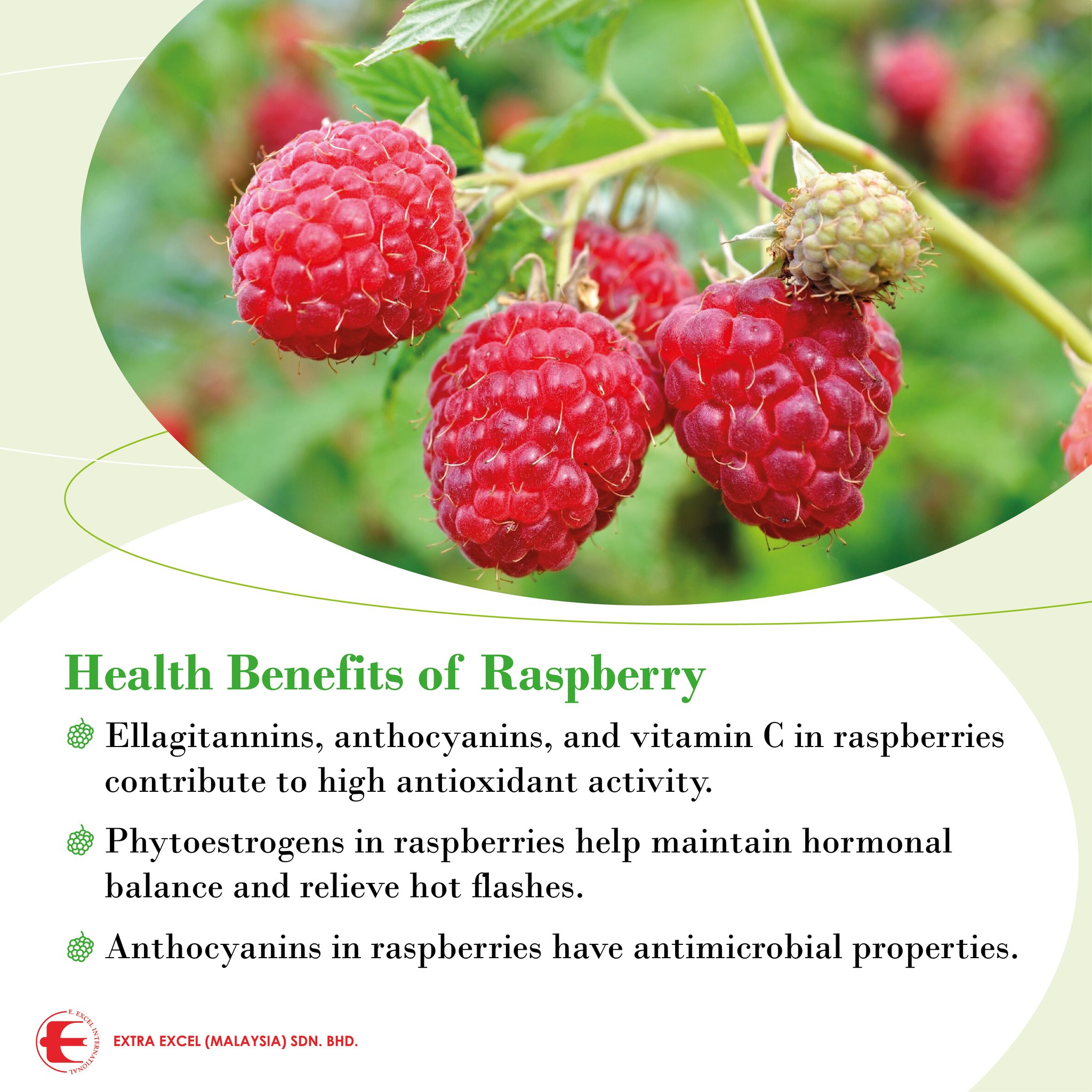 Berrybeat Raspberries