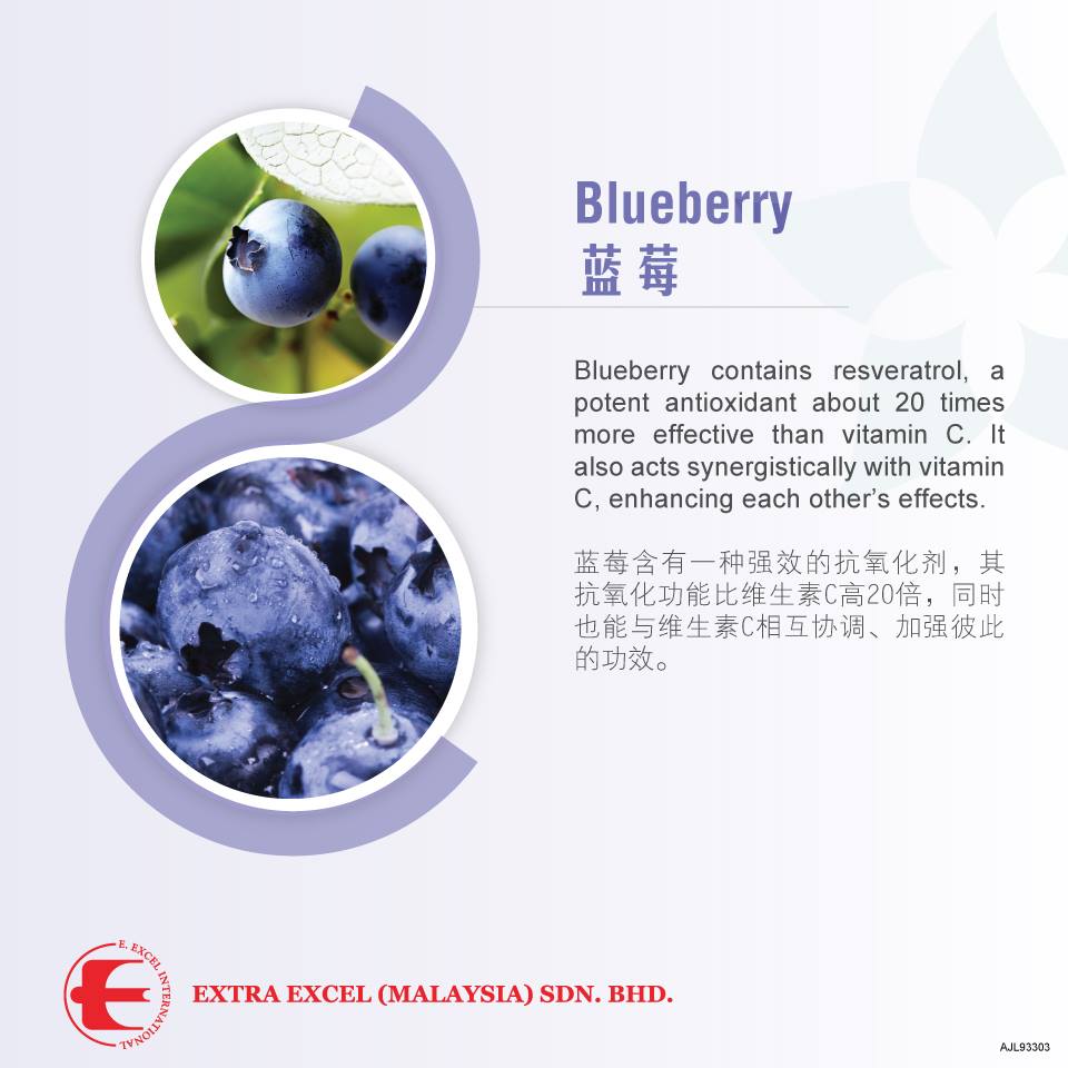 Blueberry 蓝莓