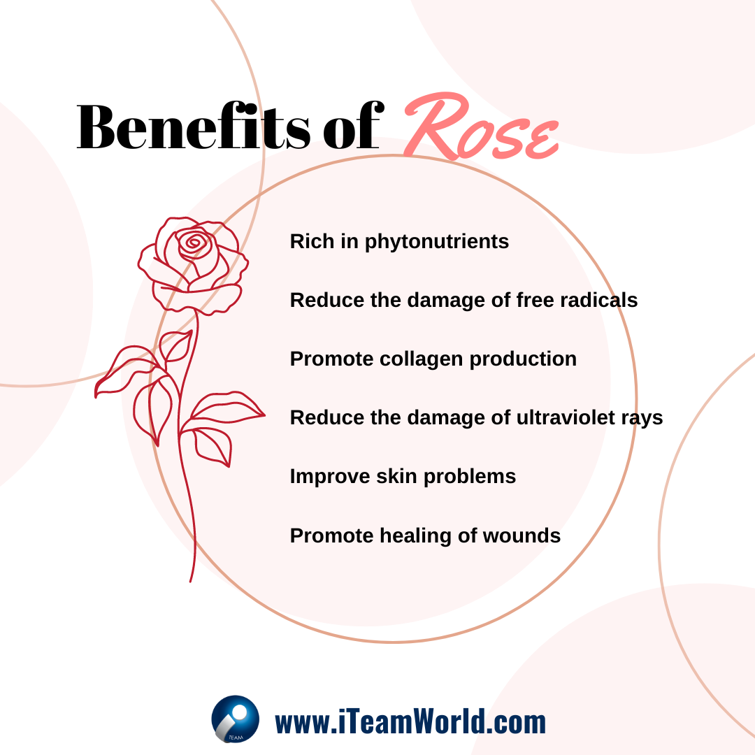 Benefits of rose