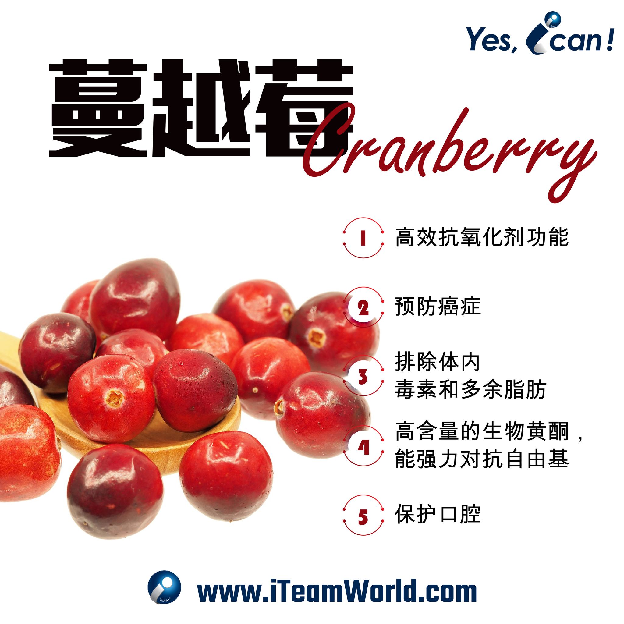 Berrybeat 心欢 Cranberry