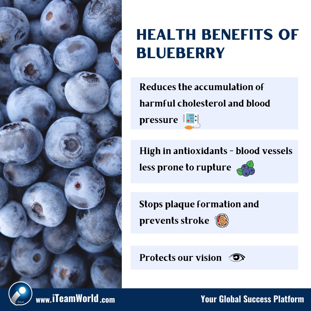 心欢 Berrybeat blueberry