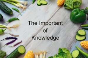 The Important of Knowledge
