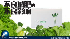 Soygreen 巧绿