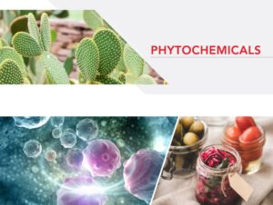 Phytochemicals 植物营养素