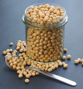 Phytofit 诗豆, soybean