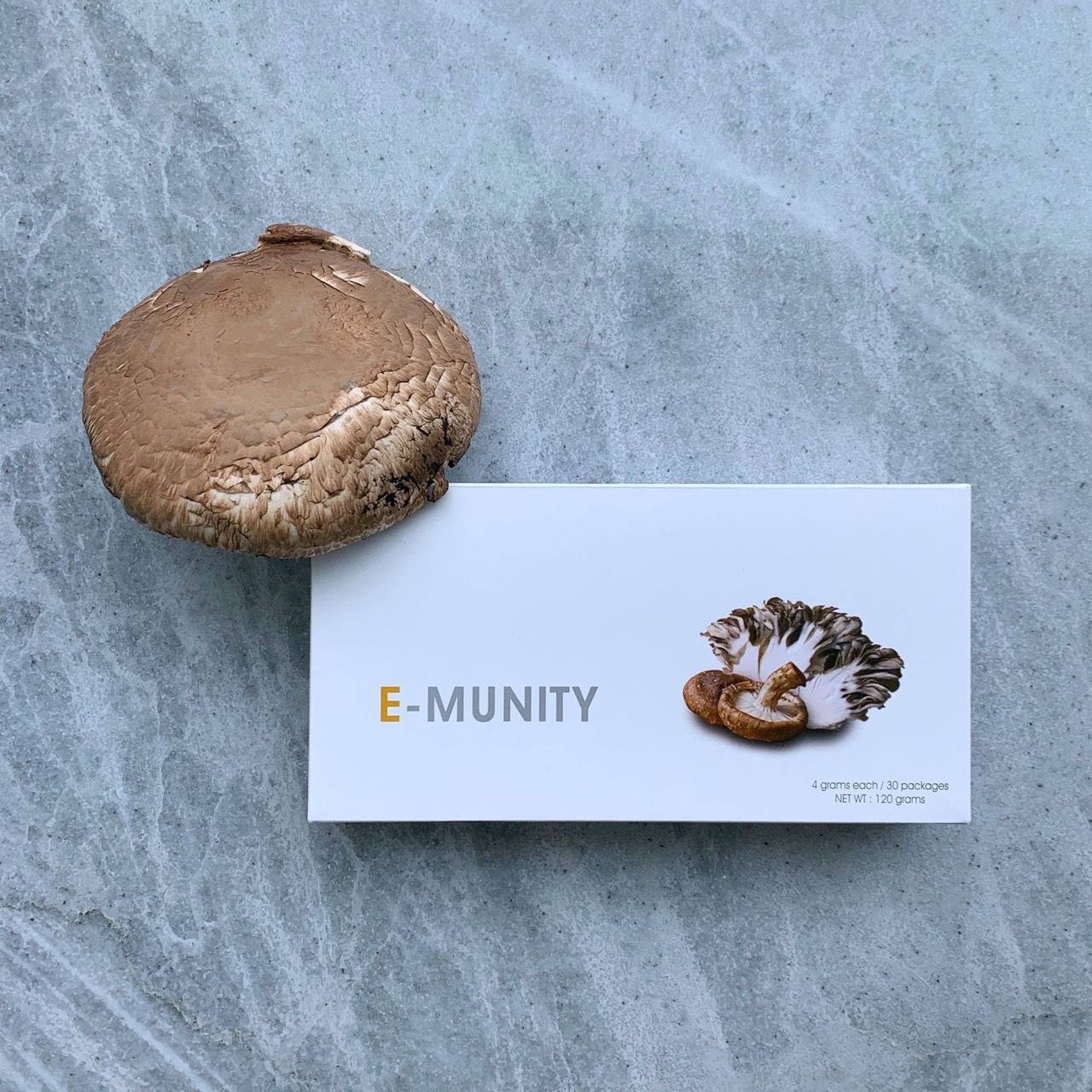 E-munity 蕈菇