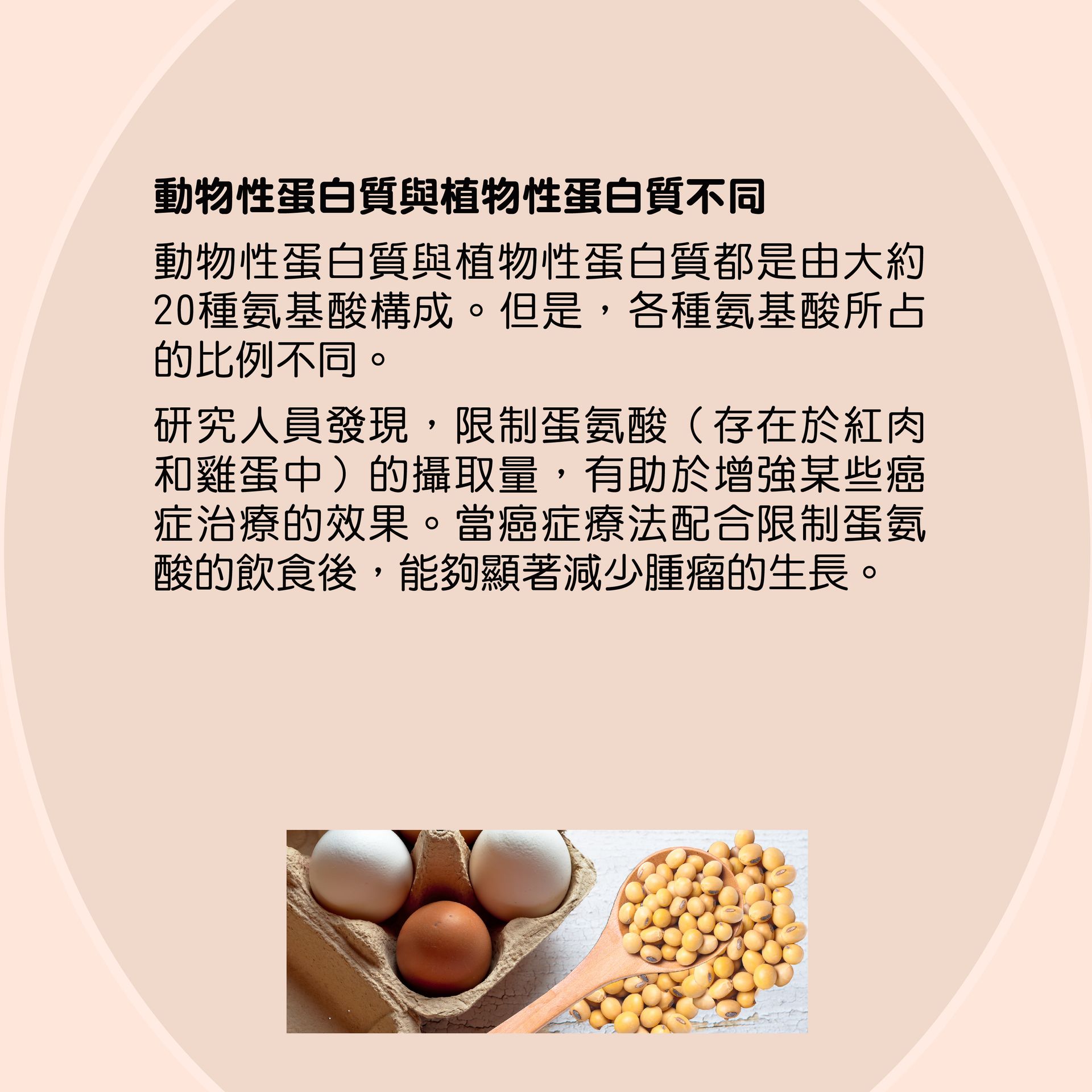 Soybean - plant and animal proteins