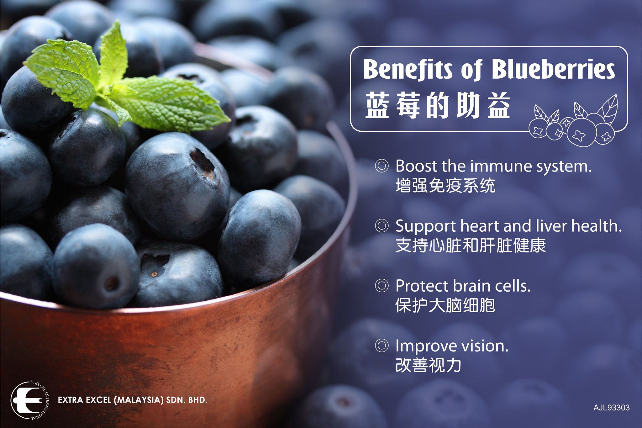 Blueberry 蓝莓
