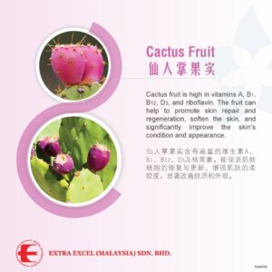 Plant Food - Cactus Fruit