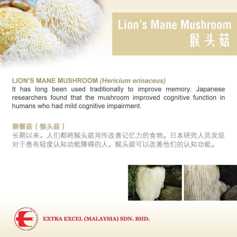 Emunity lion mane mushroom