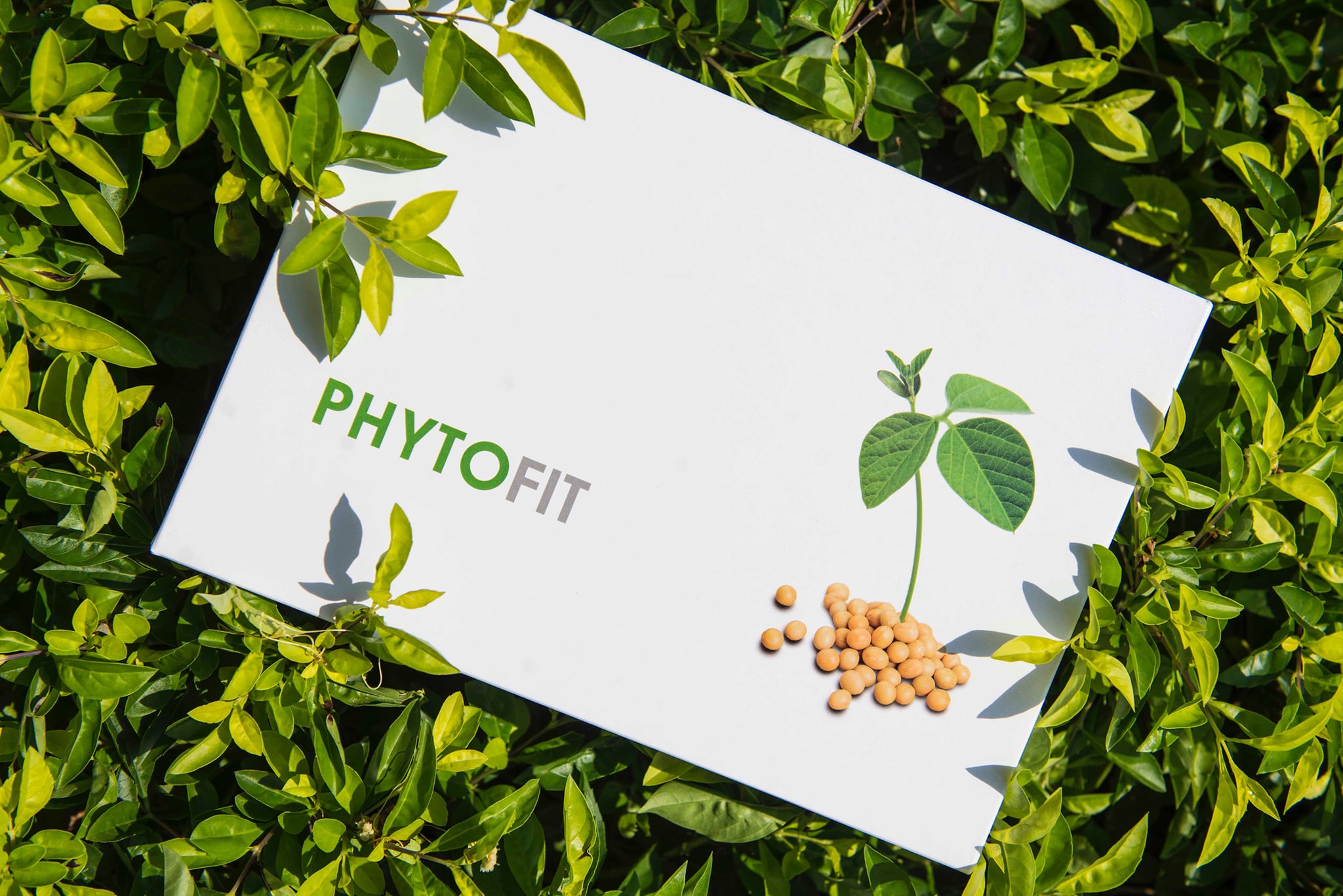 Phytofit 诗豆
