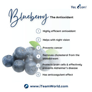 心欢 Berrybeat blueberry