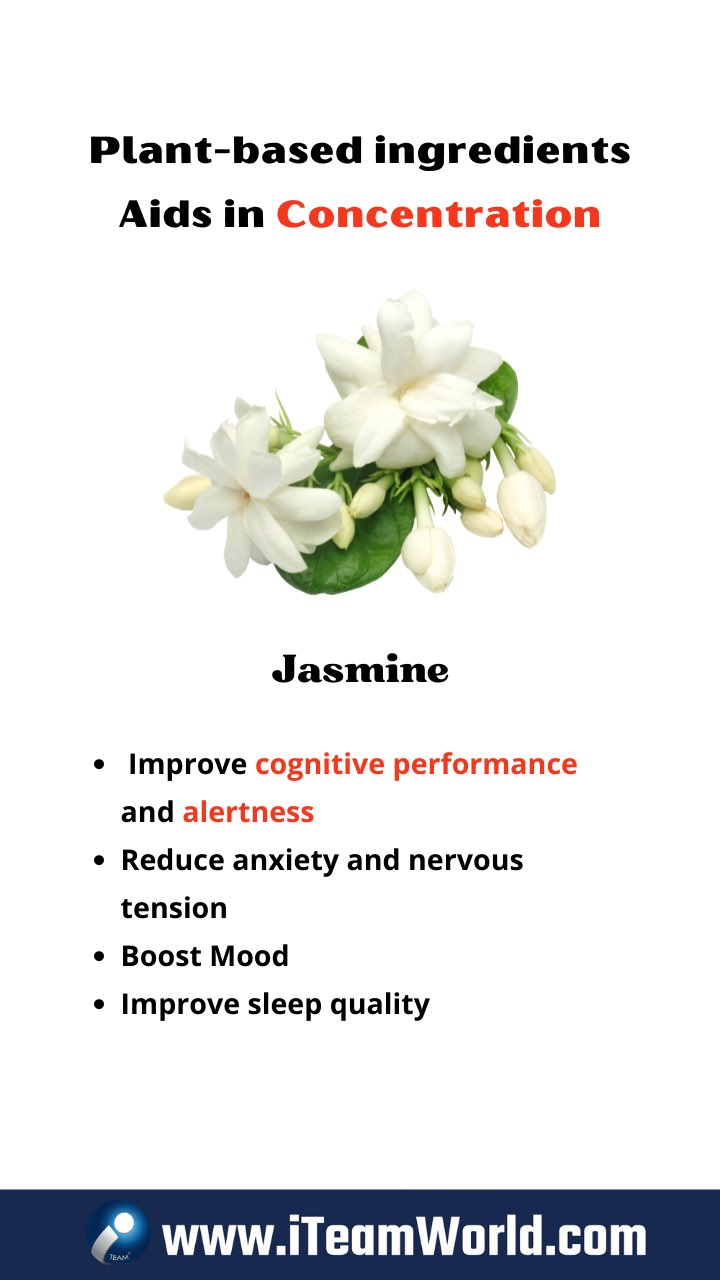 Chamoment 茶氛 - Jasmine