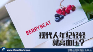 Berrybeat 心欢