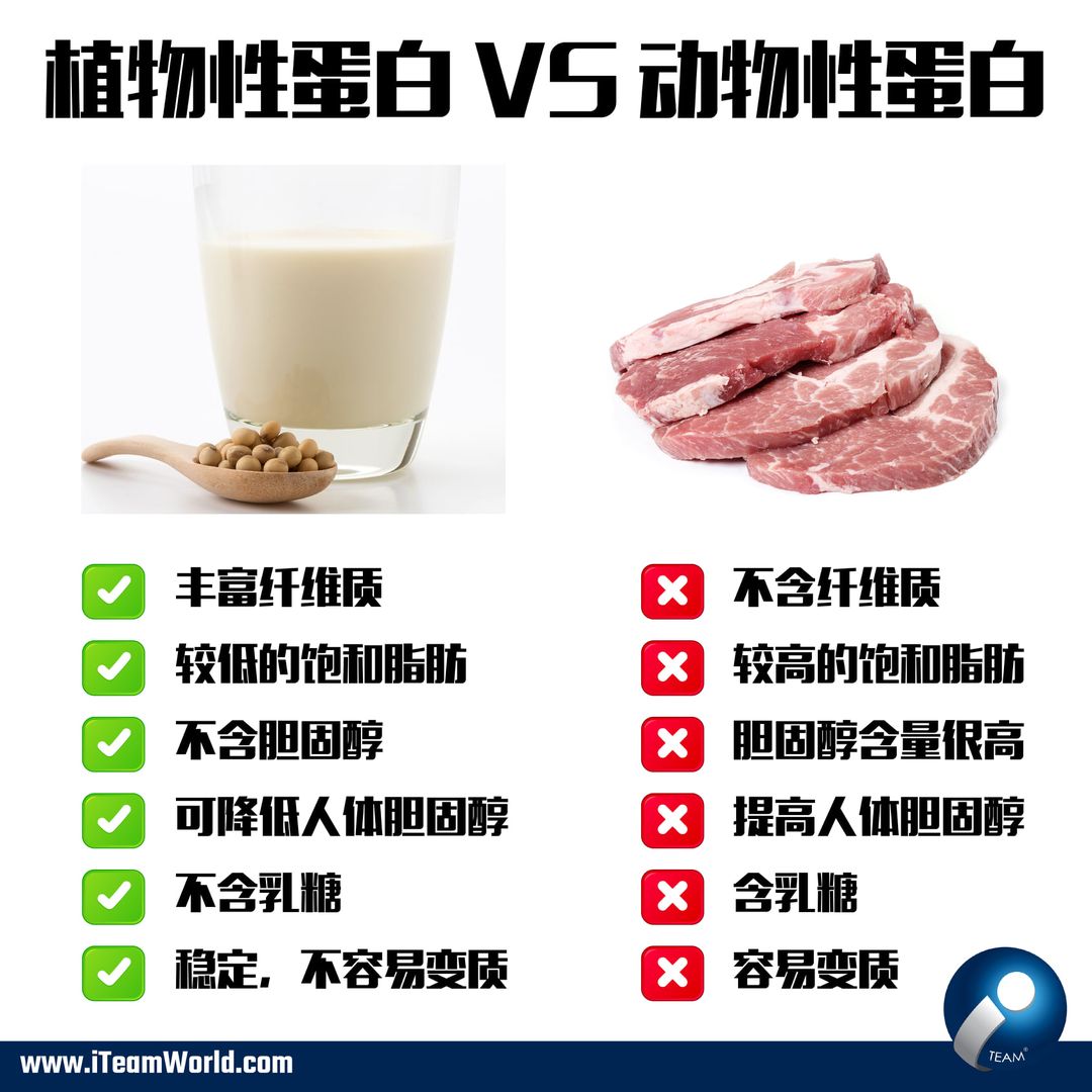 plant and animal protein