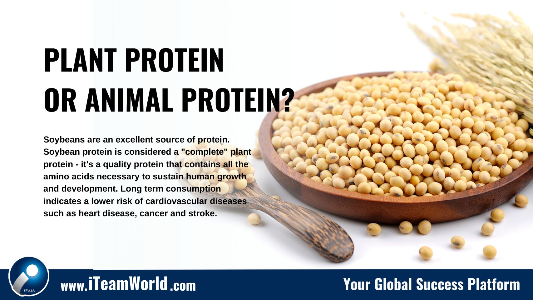 Health: Plant Protein or Animal Protein