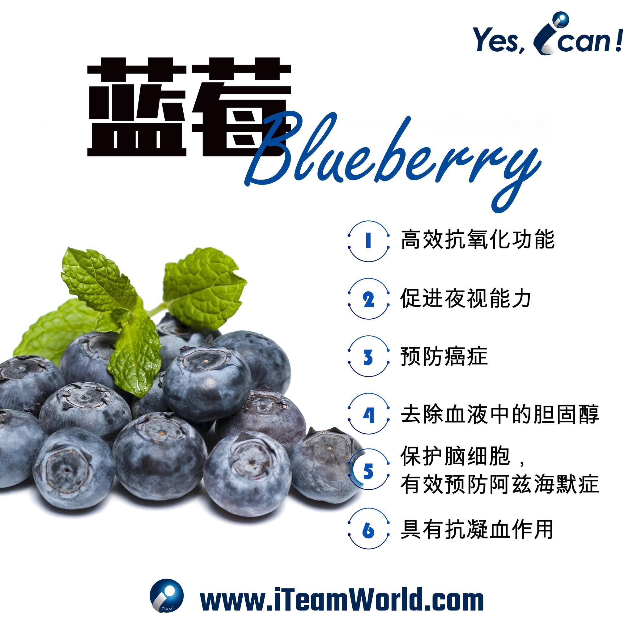 Plant food - Blueberry