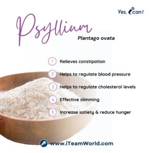 Fibertalk 纤语 - Psyllium