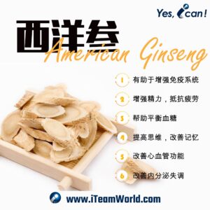 Raisintree American Ginseng