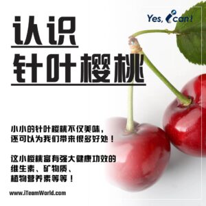 Rosytime Acerola Cherry