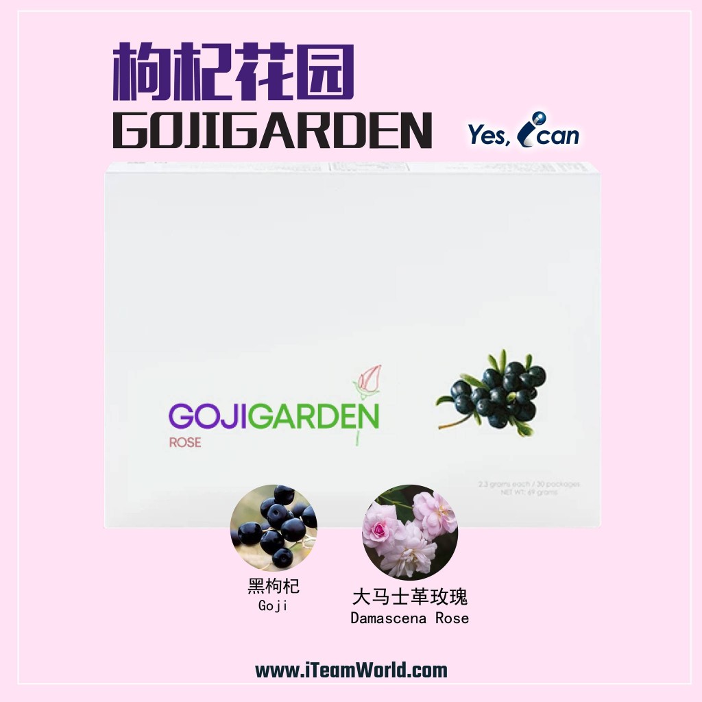 Goji Garden 枸杞花园