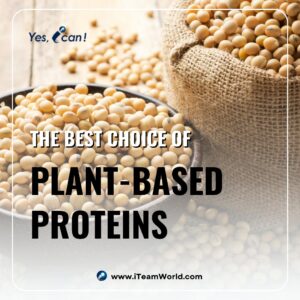 Plant-based Proteins