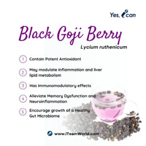 Black goji Berry