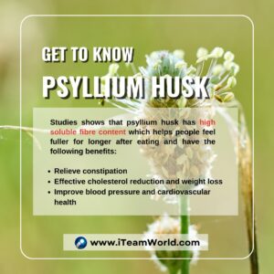 Get to know Psyllium Husk