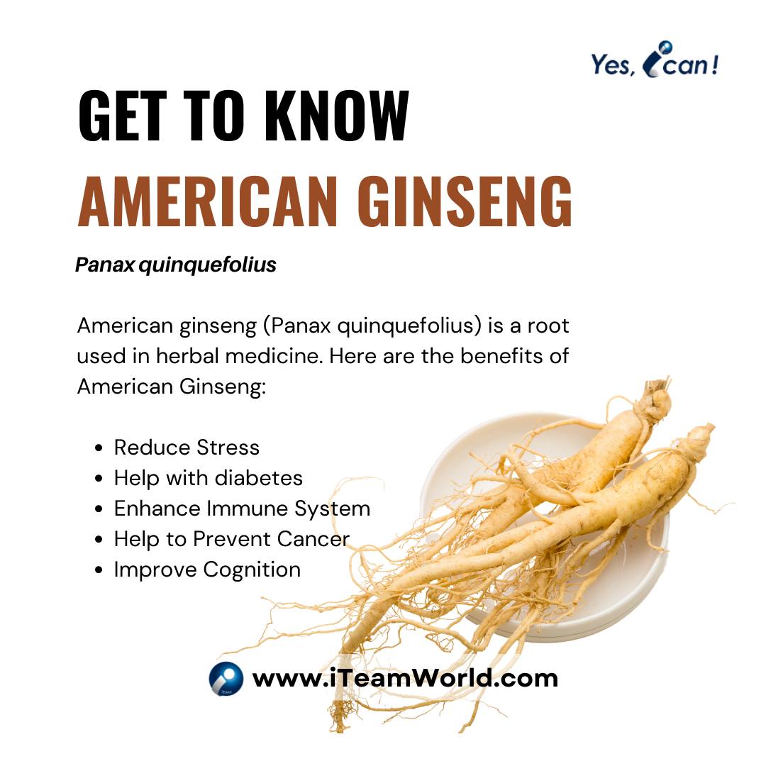 Get to know American Ginseng