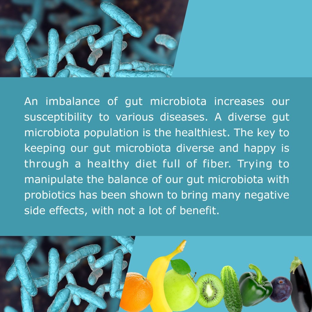 gut microbiota, diabetes, probiotics, fiber