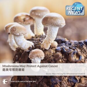 Mushrooms May Protect Against Cancer