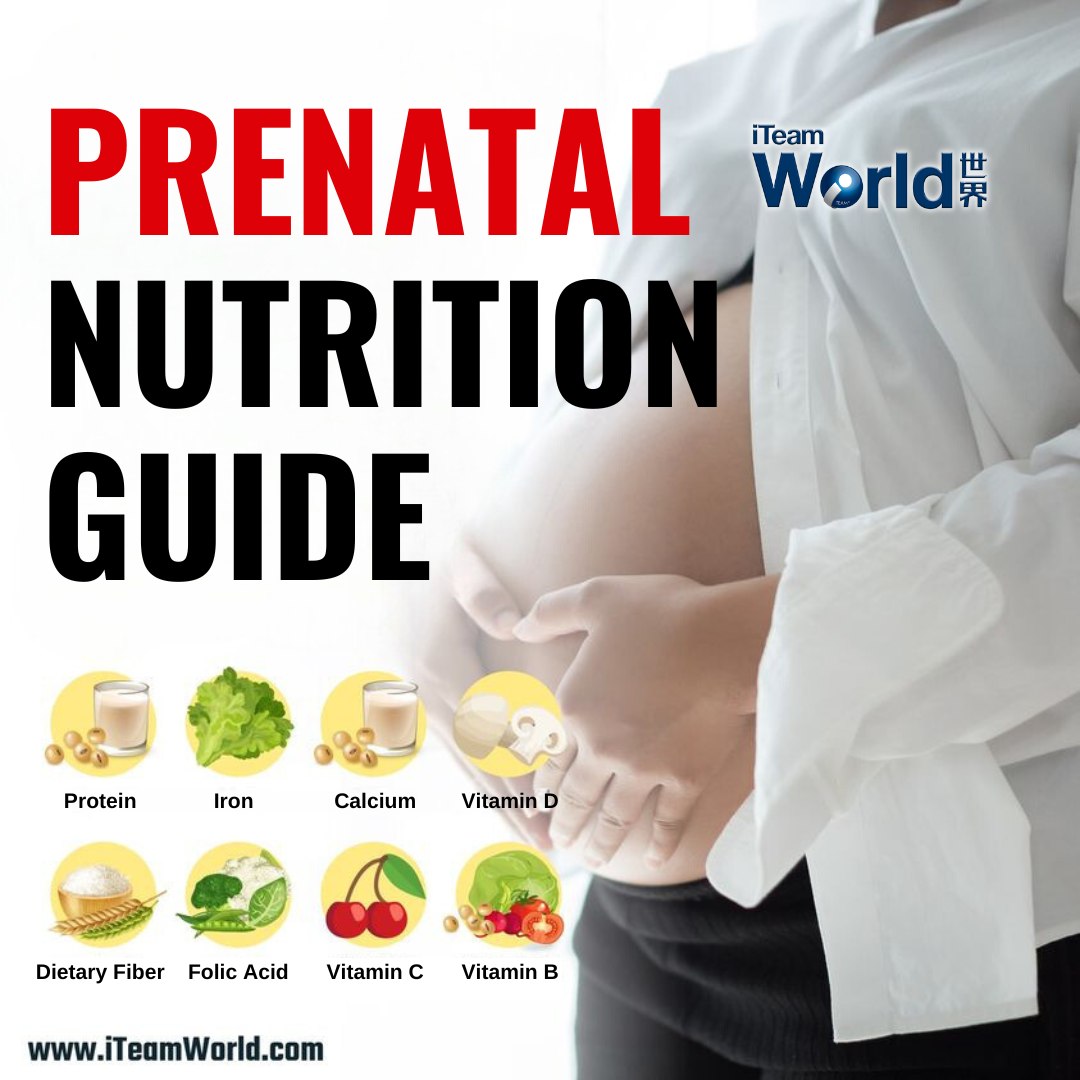 Prenatal Nutrition Guide