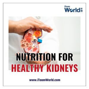 Nutrition for Healthy Kidney