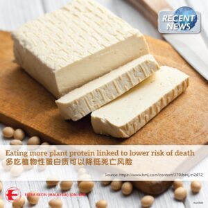 Eating More Plant Protein linked to lower risk of death