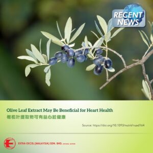 Olive Leaf Extract May Be Beneficial for Heart Health