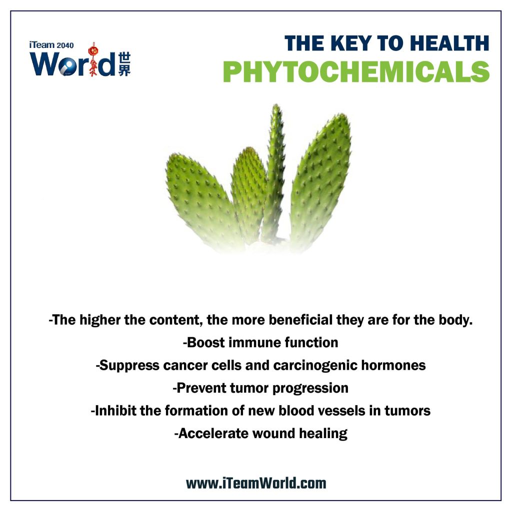 Nutritional Immunology - The Key to health