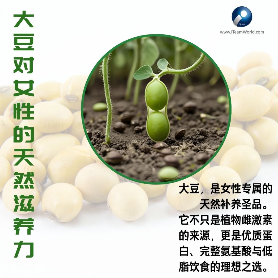 The natural powder of soy for women