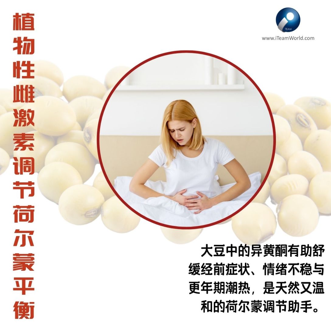 The natural powder of soy for women