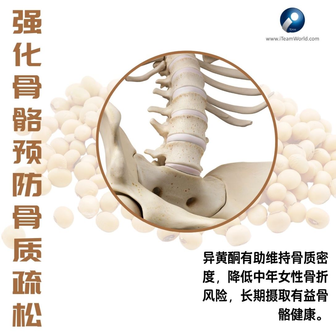 The natural powder of soy for women