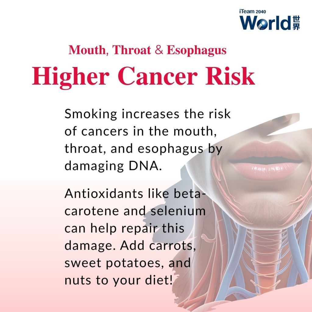 Mouth, Throat & Esophagus - Higher Cancer Risk