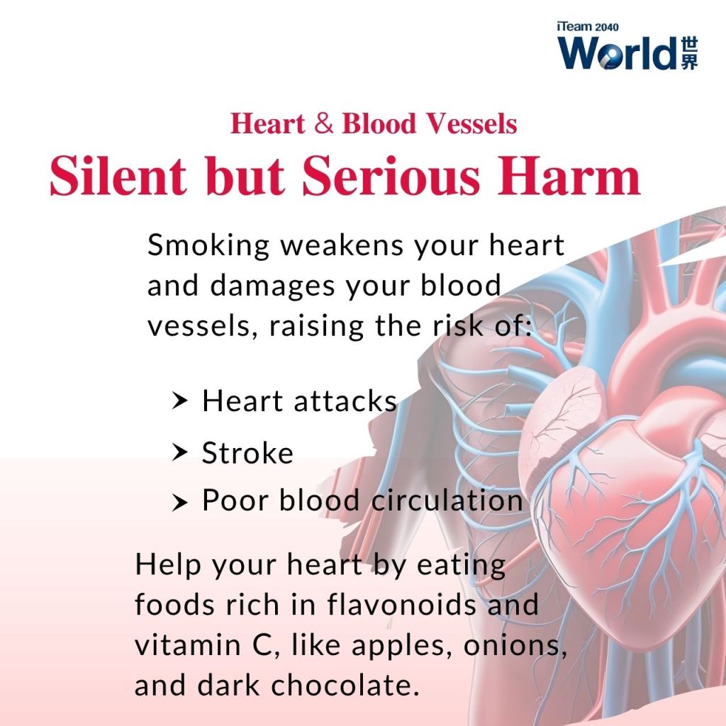 Heart & Blood Vessels - Silent but Serious Harm