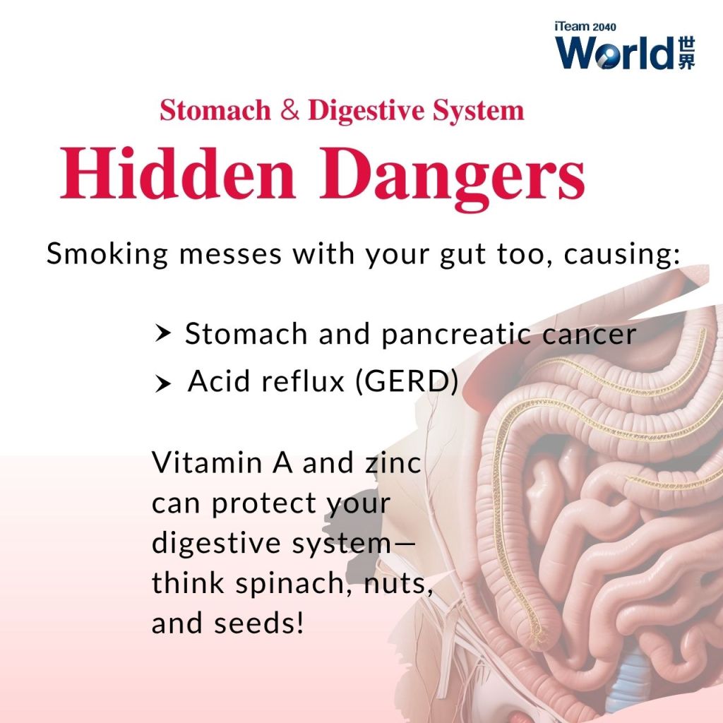 Stomach & Digestive System - Hidden Dangers