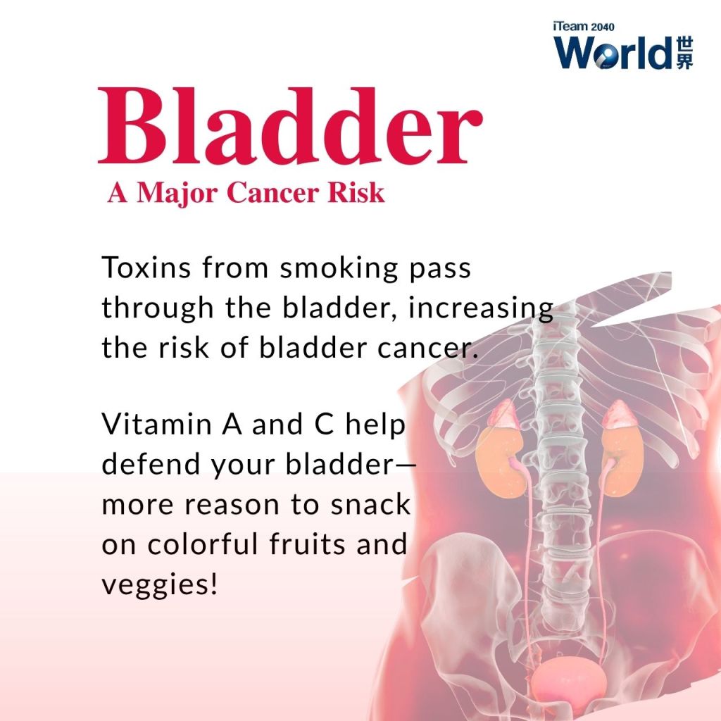 Bladder - A Major Cancer Risk