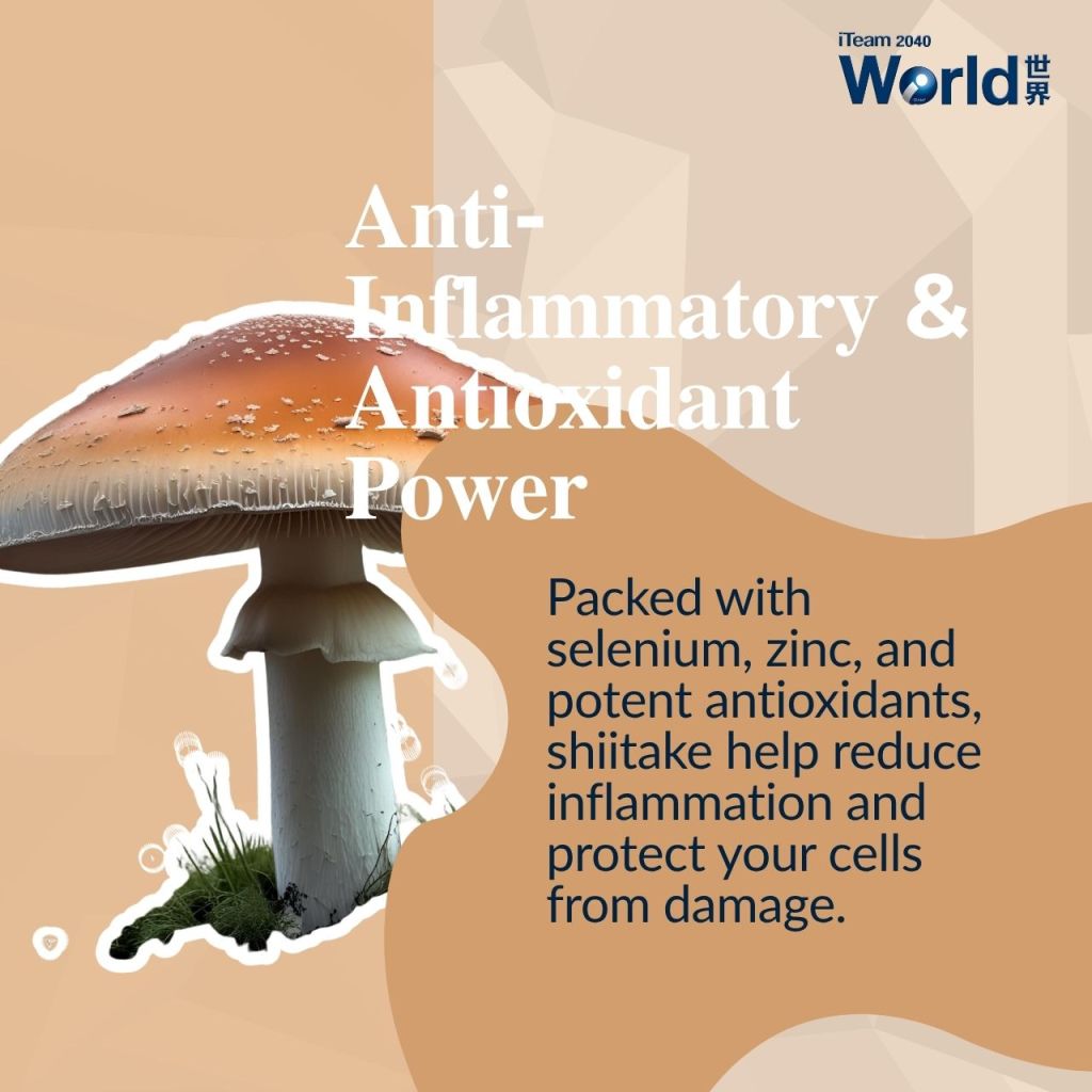Anti-Inflammatory & Antioxidant Power