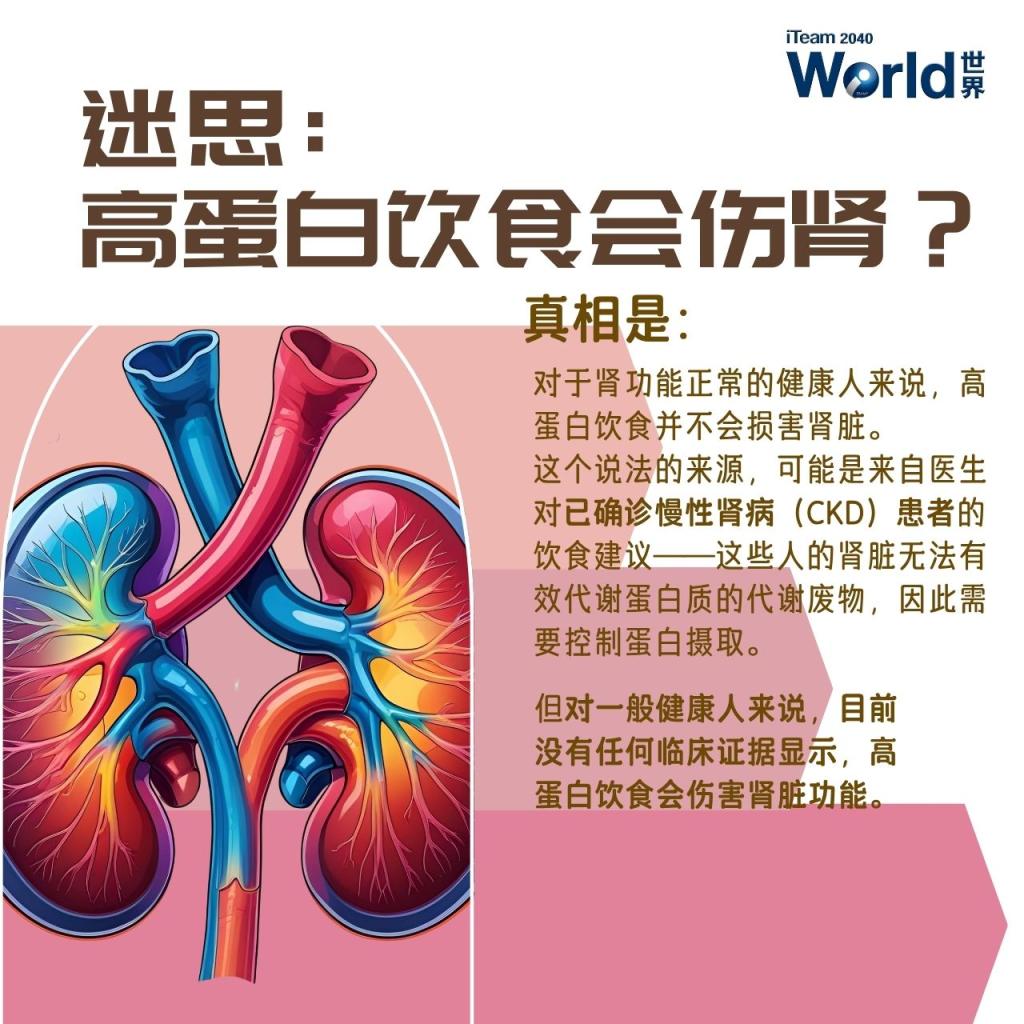 High-protein diets damage your kidneys