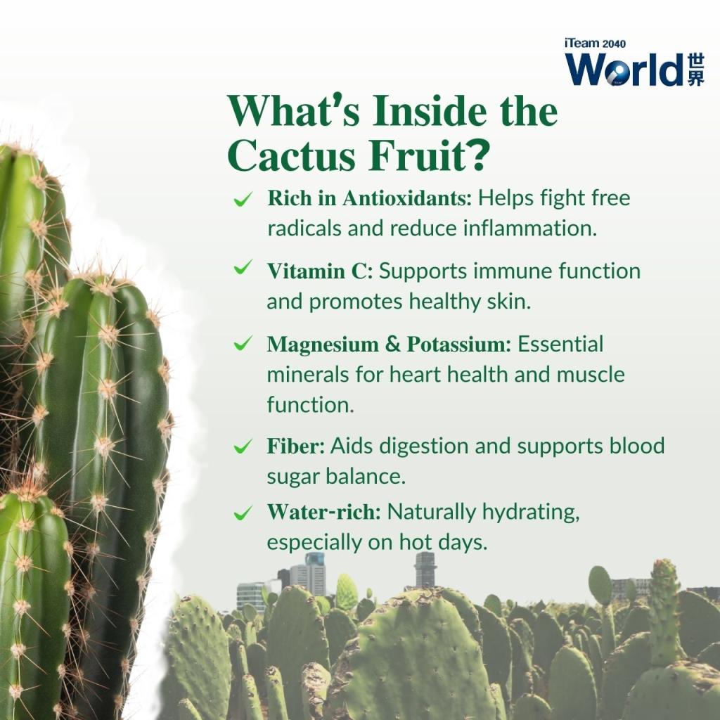 Rhapsody ๅๅฅๆฒ cactus
