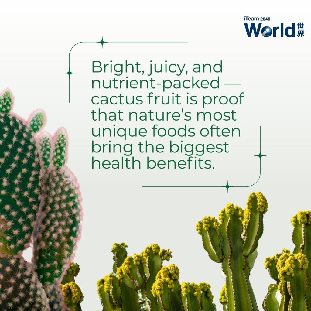 Rhapsody ๅๅฅๆฒ cactus