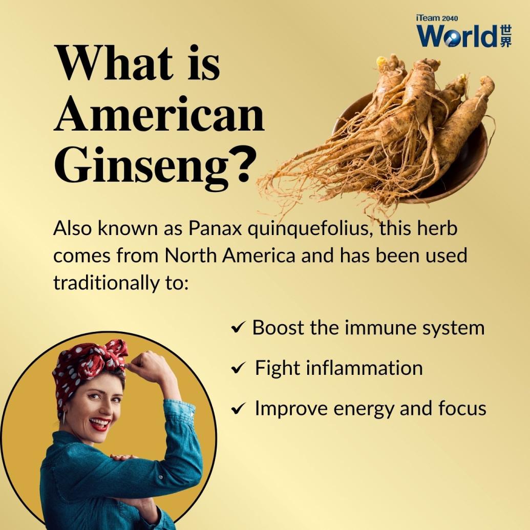 what is American Ginseng