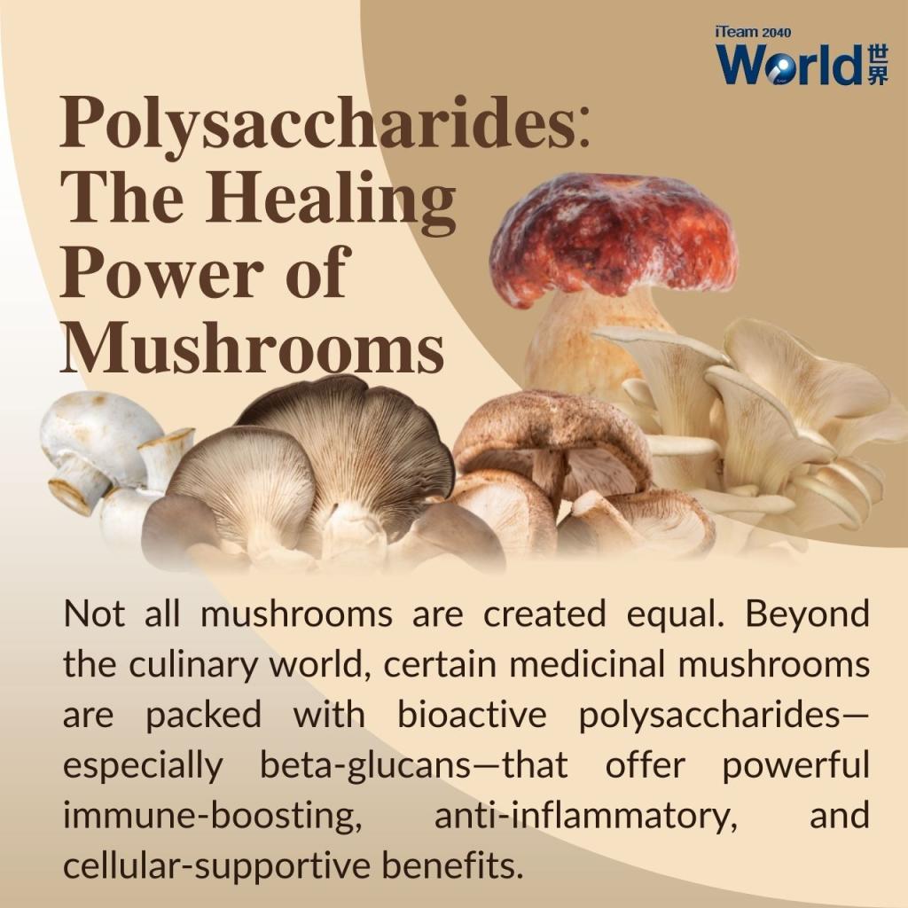 Polysaccharides: The healing Power of Mushroom